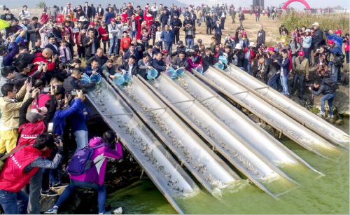 合肥举办第四届巢湖开湖节暨湖鲜美食节